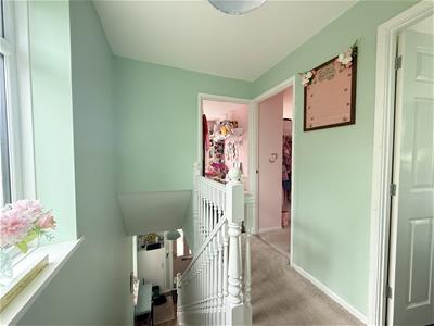 Picture 14